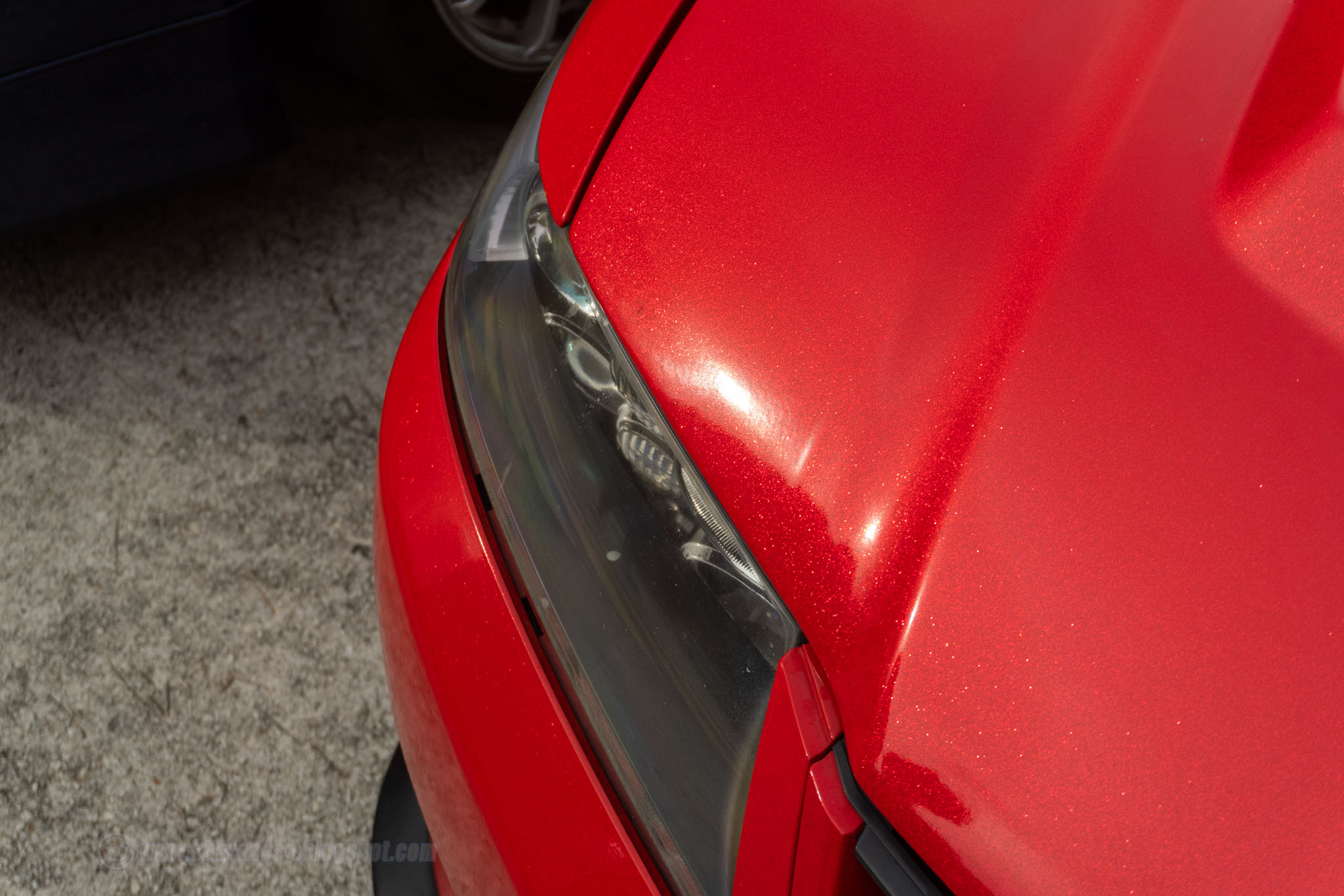 20251207-DSC08629