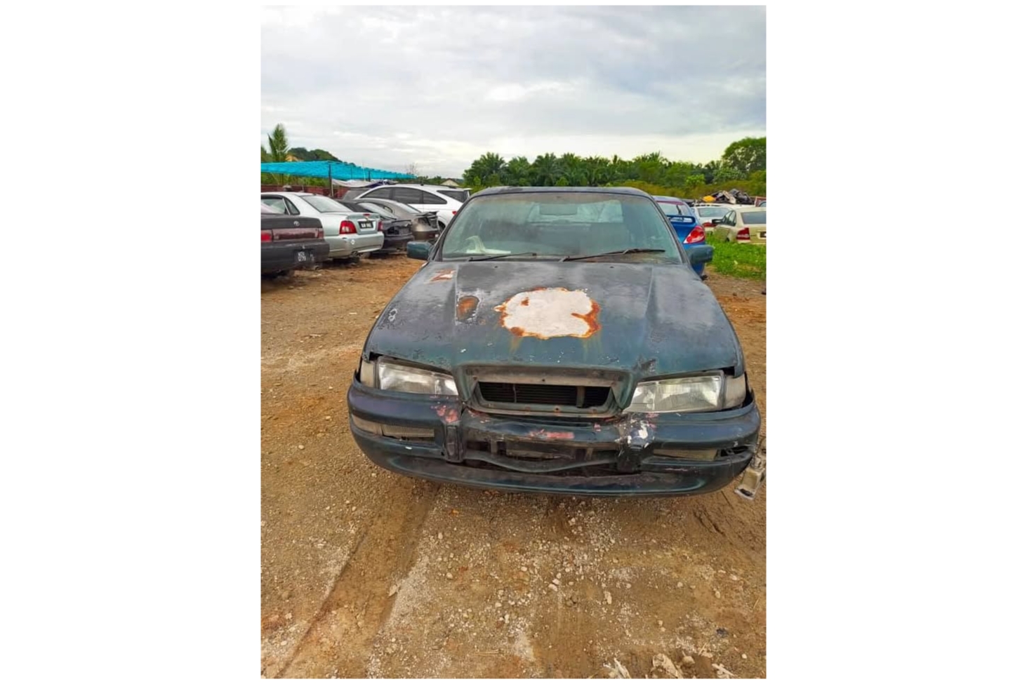 IMG_2026_02_06_0328371784