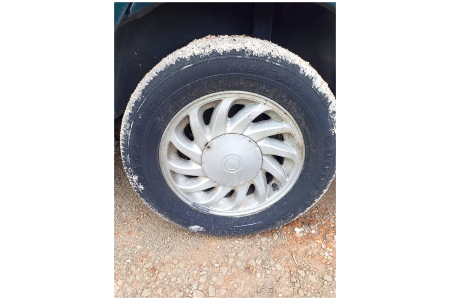 IMG_2026_02_06_0328374027