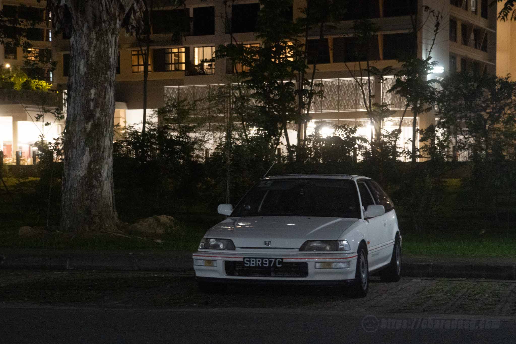 20260425-DSC00119