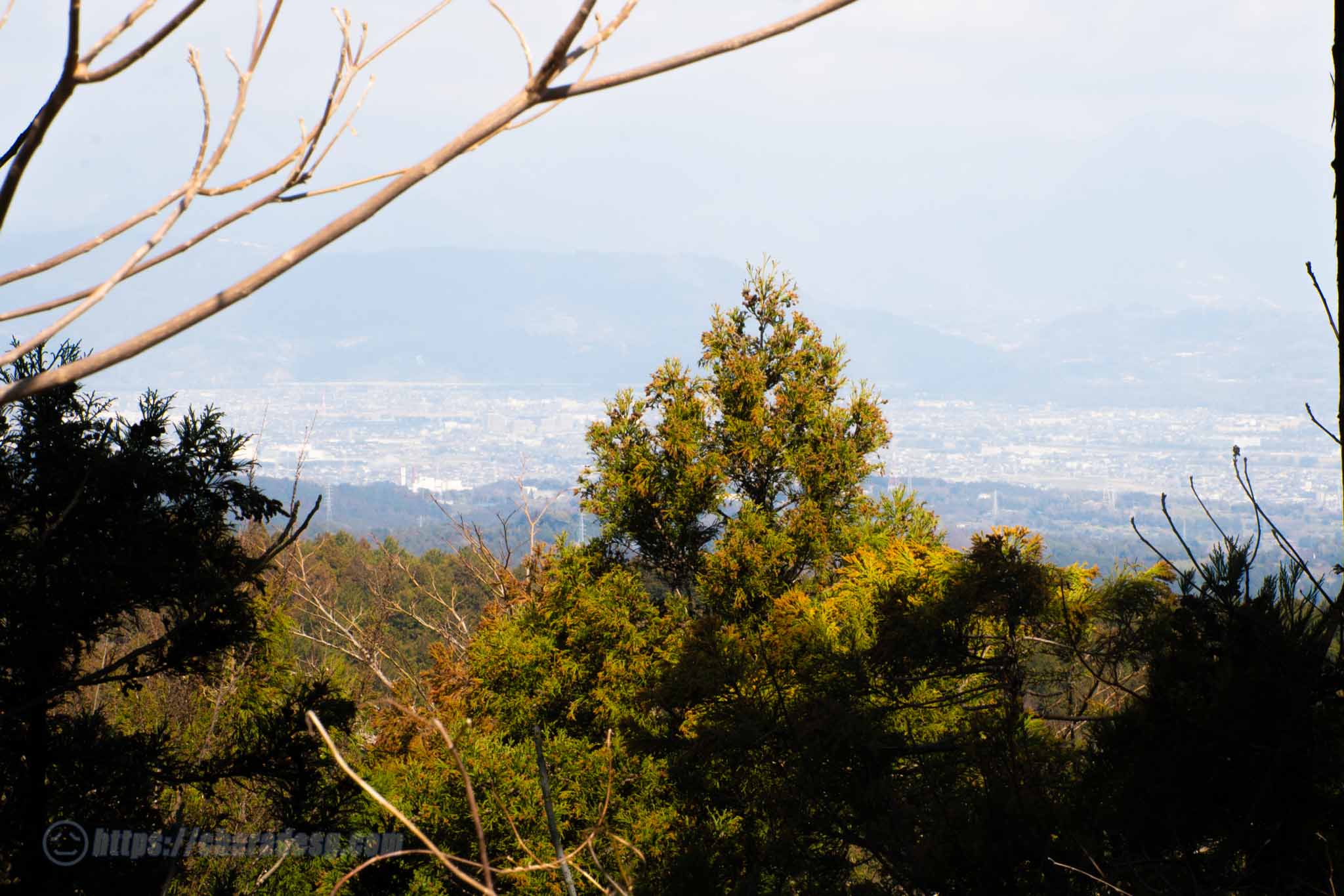 20260312-DSC05149