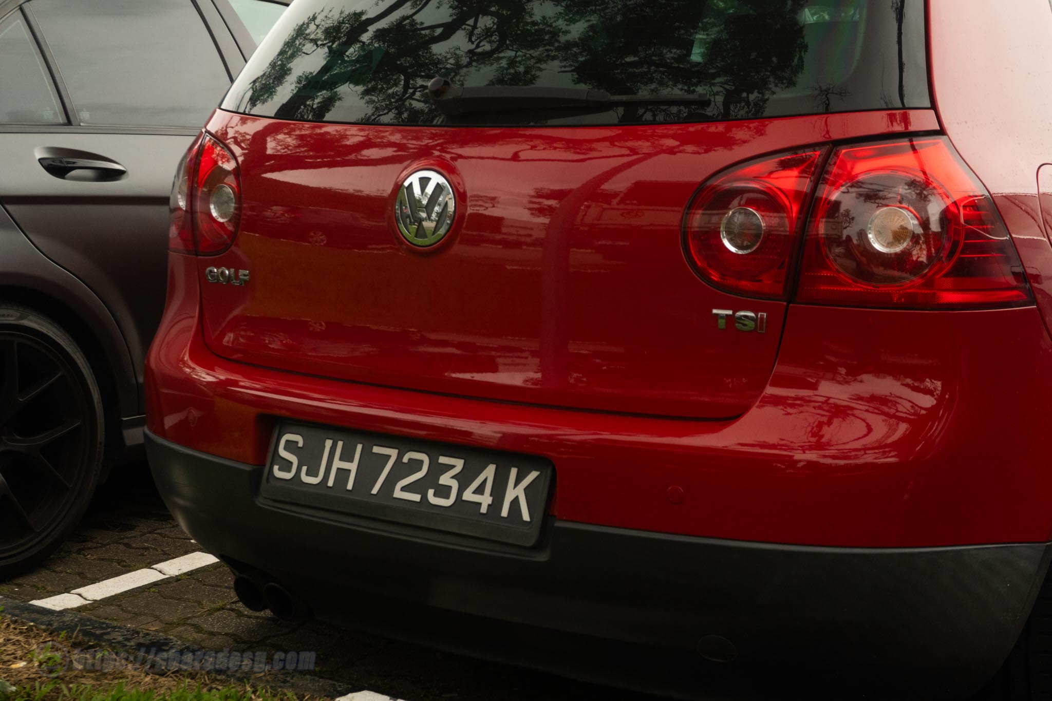20251219-DSC08837